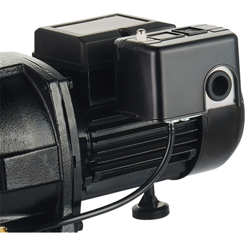 Dual Voltage Cast Iron Shallow Well Jet Pump, 115 V/230 V, 1100 GPH, 1 HP Waymarc Industries Inc