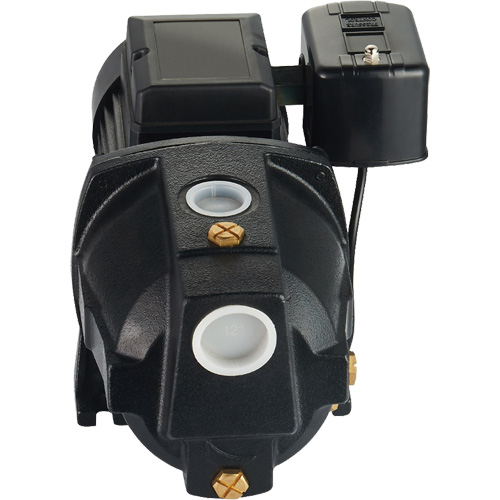 Dual Voltage Cast Iron Shallow Well Jet Pump, 115 V/230 V, 1100 GPH, 1 HP Waymarc Industries Inc