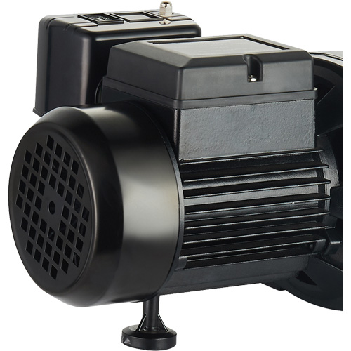 Dual Voltage Cast Iron Shallow Well Jet Pump, 115 V/230 V, 1100 GPH, 1 HP Waymarc Industries Inc