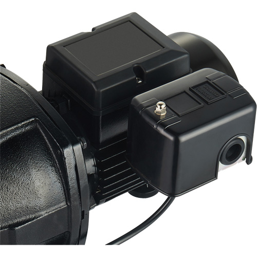 Dual Voltage Cast Iron Shallow Well Jet Pump, 115 V/230 V, 1100 GPH, 1 HP Waymarc Industries Inc