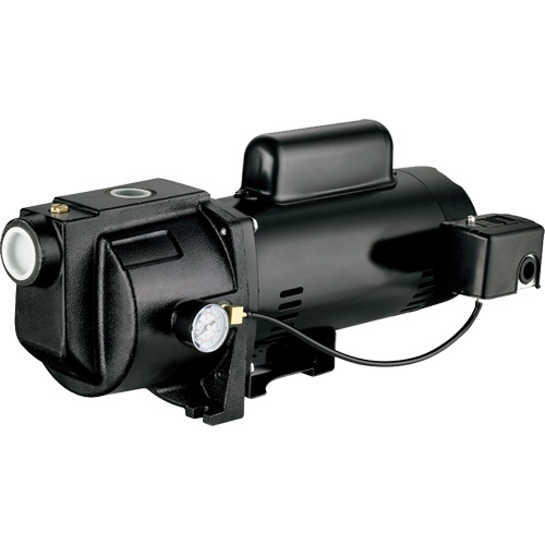 Dual Voltage Cast Iron Shallow Well Jet Pump, 115 V/230 V, 1260 GPH, 1 HP Waymarc Industries Inc
