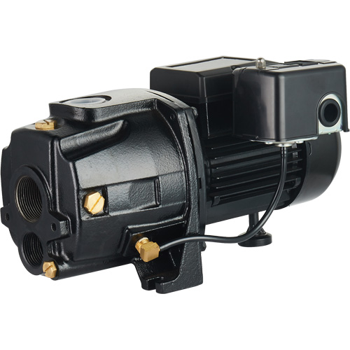 Pompe &agrave; jet en fonte &agrave; double tension transformable, 115 V/230 V, 1400 gal./h, 3/4 CV Waymarc Industries Inc