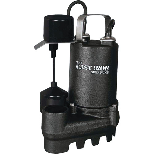 Pompe de puisard submersible en fonte avec interrupteur &agrave; flotteur vertical, 67 gal./min, 33 V, 5 A, 1/3 CV Waymarc Industries Inc