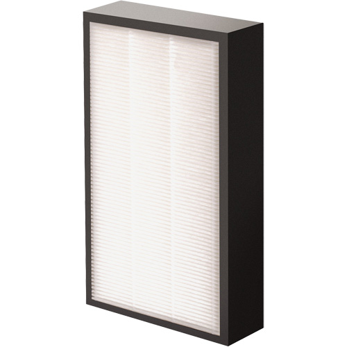 V&eacute;ritables filtre HEPA AeraMax Pro AM2 1-3/4", Boîte, 7,38" la x 1,88" p x 12,88" h Waymarc Industries Inc