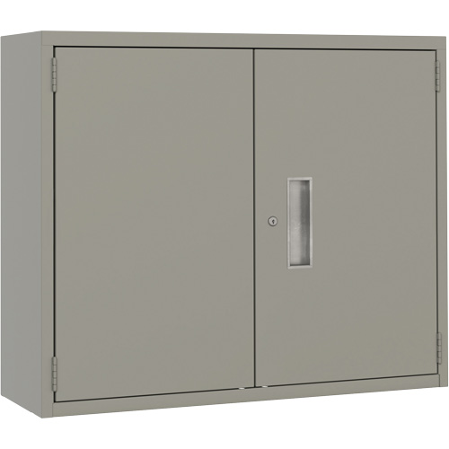 Armoire murale, Acier, 2 Tablettes, 30" h x 36" la x 12" P, Gris Waymarc Industries Inc