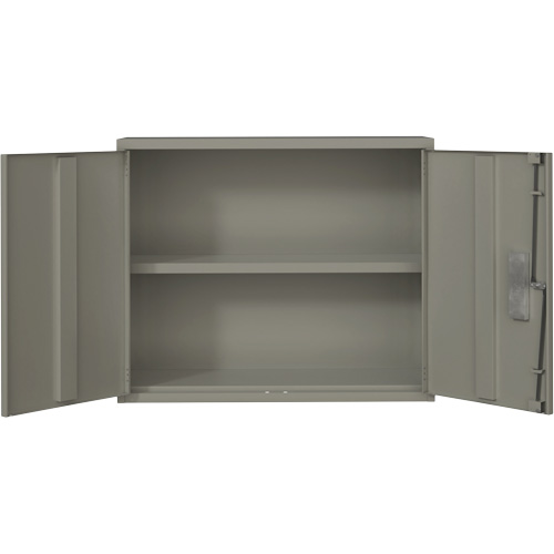 Armoire murale, Acier, 2 Tablettes, 30" h x 36" la x 12" P, Gris Waymarc Industries Inc