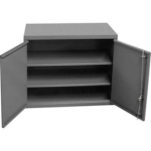 Armoire murale, 27" h x 13-11/16" la x 35-7/8" p, 2 tablettes, Acier, Gris Waymarc Industries Inc