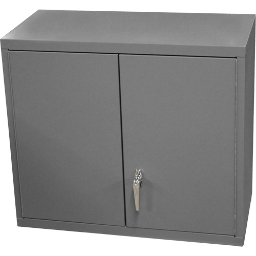 Armoire murale, 27" h x 13-11/16" la x 35-7/8" p, 2 tablettes, Acier, Gris Waymarc Industries Inc