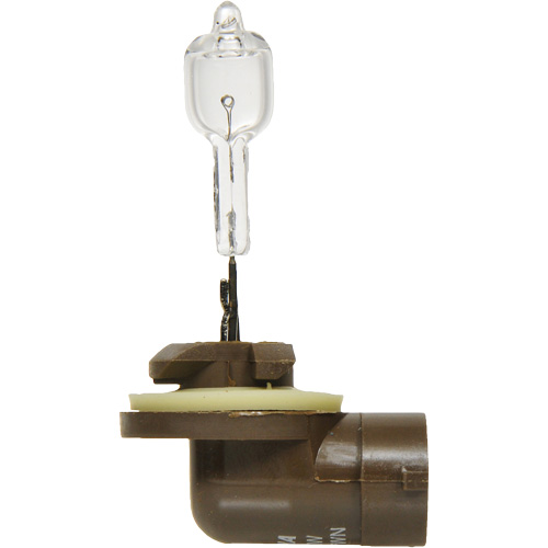 886 Basic Fog Light Bulb, Halogen, 50 W, Off White Waymarc Industries Inc