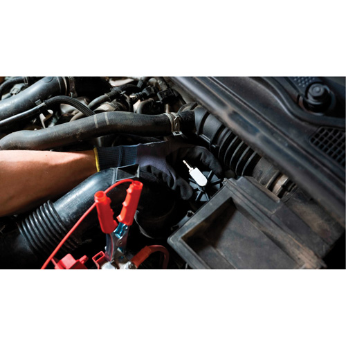 Pompette de purge de frein Brake-Pro &agrave; structure haute avec adaptateurs Waymarc Industries Inc