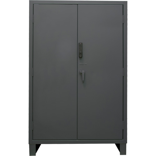 Heavy-Duty Electronic Access Cabinet Waymarc Industries Inc