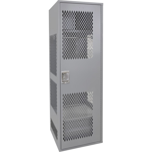 Gear Locker with Door, Steel, 24" W x 24" D x 72" H, Grey Waymarc Industries Inc