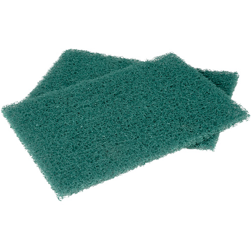 Tampons manuels Scotch-Brite, &agrave; r&eacute;curer, 6" la x 9" l Waymarc Industries Inc