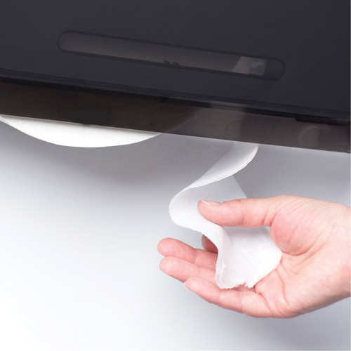 Cored JRT Combo Unit Toilet Paper Dispenser, Multiple Roll Capacity Waymarc Industries Inc
