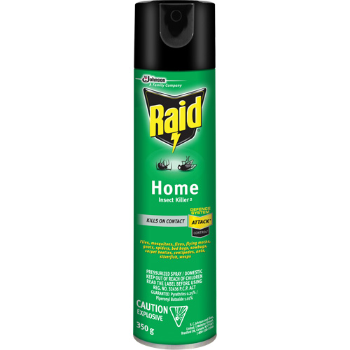 Insecticide pour insectes domestiques Raid, 350 g, &agrave; base de solvant Waymarc Industries Inc