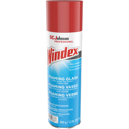 Nettoyant moussant pour vitres Windex, 560 g, Canette a&eacute;rosol Waymarc Industries Inc