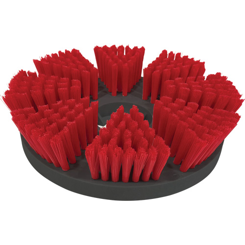 Brosse de nettoyage moyen Waymarc Industries Inc