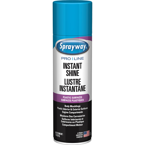 Brillant instantan&eacute; Pro Line pour surfaces en plastique, 11 oz, Canette a&eacute;rosol Waymarc Industries Inc