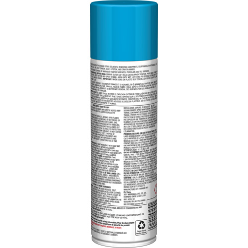Pro Line Crazy Clean&reg; All Purpose Cleaner, 19 oz., Aerosol Can Waymarc Industries Inc