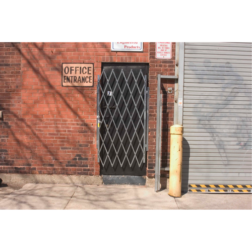Heavy-Duty Door Gates, Single, 4' L x 6' 3" H Expanded Waymarc Industries Inc