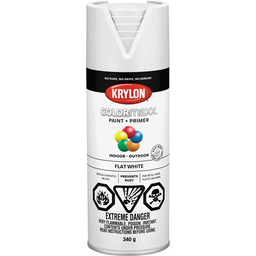 COLORmaxx Paint + Primer, White, Very Flat, 12 oz., Aerosol Can Waymarc Industries Inc