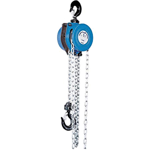 Tralift&reg; Manual Chain Hoist, 10' Lift, 4000 lbs. (2 tons) Capacity, Grade 80 Chain Waymarc Industries Inc