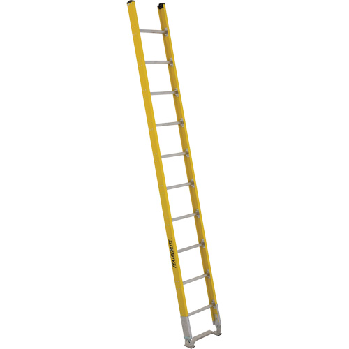 Single Section Straight Ladder - 6100 Series, 10', Fibreglass, 375 lbs., CSA Grade 1AA Waymarc Industries Inc