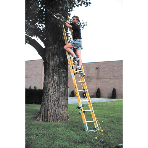 Industrial Heavy-Duty Extension Ladders (6200 Series), 375 lbs. Cap., 13' H, Grade 1AA Waymarc Industries Inc