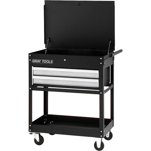 Utility Cart, 2 Drawers, 30-1/4" L x 19" W x 35-3/4" H, Black Waymarc Industries Inc