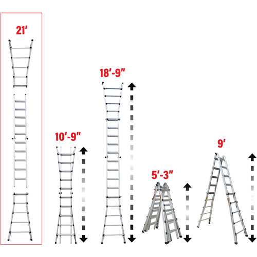 Telescoping Multi-Position Ladder, Aluminum, 300 lbs., CSA Grade 1A Waymarc Industries Inc