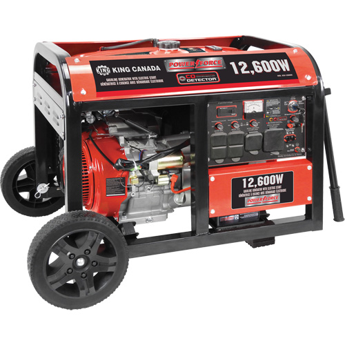 G&eacute;n&eacute;ratrice &agrave; essence &agrave; d&eacute;marreur &eacute;lectrique, 12600 W de surtension, 9000 W nominale, 120 V/240 V, R&eacute;servoir de 31 L Waymarc Industries Inc