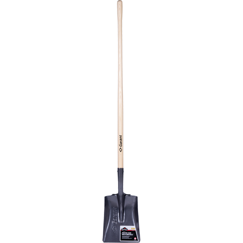 Pelle carr&eacute;e  Pro, Bois, Lame Acier durci, Manche en Droit, Longueur 48" Waymarc Industries Inc