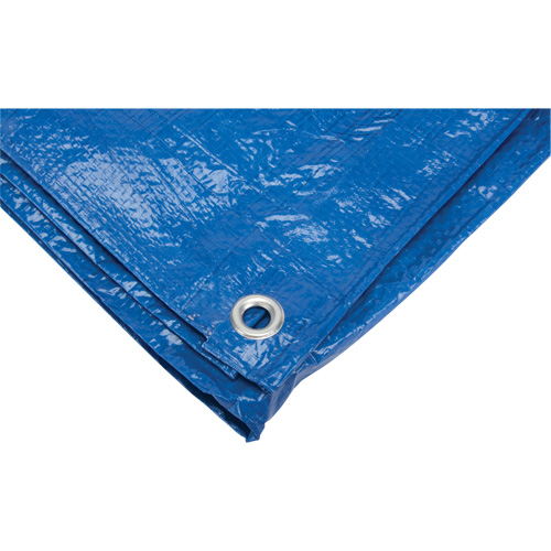 B&acirc;che, Standard, Bleu, 7' x 5' x 4 mils Waymarc Industries Inc