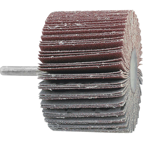 Disque &agrave; lamelles mont&eacute;, Grain 60, 3" x 1" x 1/4" Waymarc Industries Inc