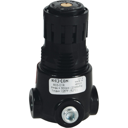Wilkerson Miniature Regulator R03, 1/8" NPT, 300 psi Max. PSI, Standard Waymarc Industries Inc