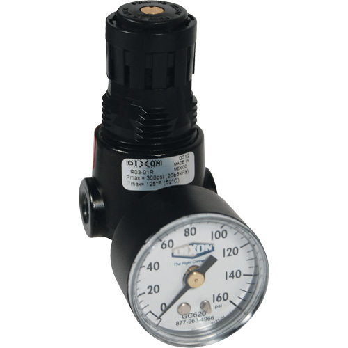 Wilkerson Miniature Regulator R04, 1/4" NPT, 300 psi Max. PSI, Standard Waymarc Industries Inc