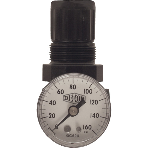 Series 1 Miniature Regulator, 1/8" NPT, 100 psi Max. PSI, Standard Waymarc Industries Inc