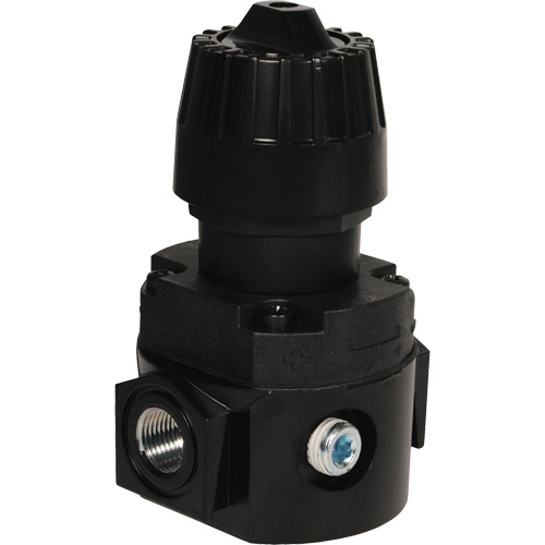 Wilkerson Compact Regulator R16, 1/4" NPT, 300 psi Max. PSI, Standard Waymarc Industries Inc