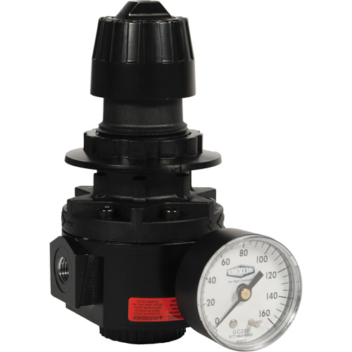 R&eacute;gulateur Wilkerson R26, 1/2" NPT, PSI max. de 300 psi, Standard Waymarc Industries Inc