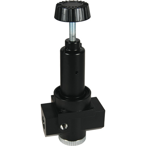 Wilkerson High Flow Regulator R30, 1" NPT, 300 psi Max. PSI, Standard Waymarc Industries Inc