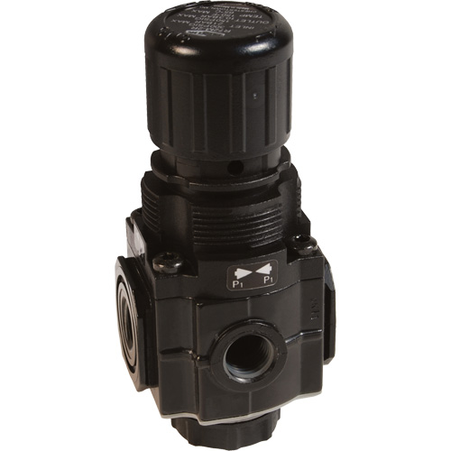 Series 1 Manifold Regulator, 1/4" NPT, 150 PSI Max. PSI, Standard Waymarc Industries Inc