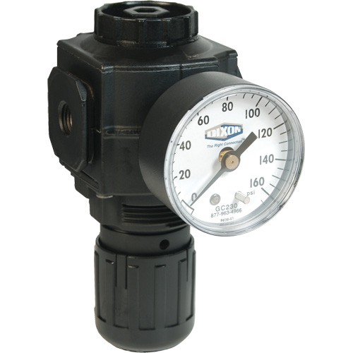 R&eacute;gulateur compact de s&eacute;rie 1, 1/2" NPT, PSI max. de 150 psi, Standard Waymarc Industries Inc