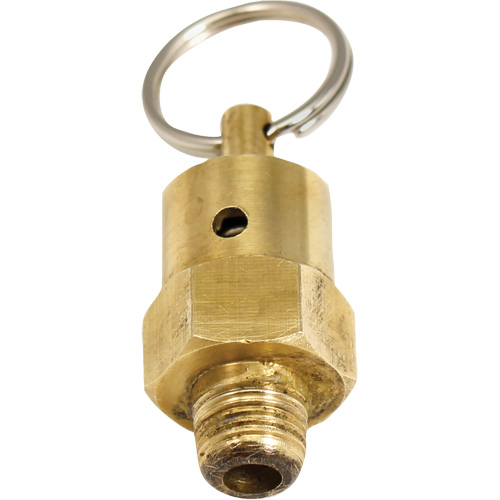 Soupape de rel&acirc;chement de pression Viton Waymarc Industries Inc