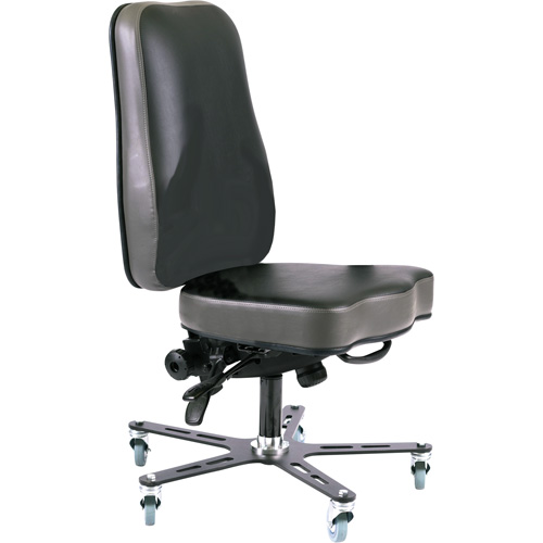 Synergo I Ergonomic Chair, Mobile Waymarc Industries Inc