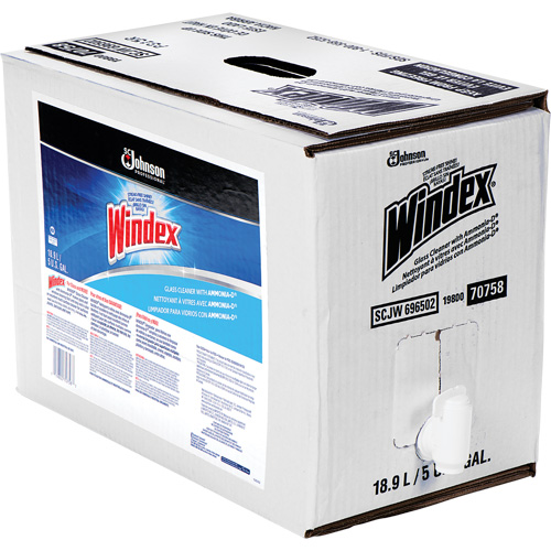Nettoyant pour vitres Windex avec Ammoniac-D, 5 gal., Sac Waymarc Industries Inc