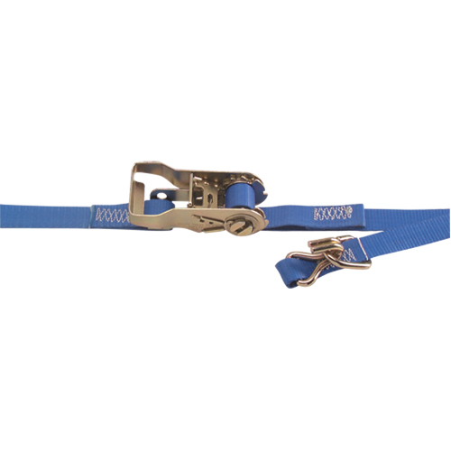 Tendeurs d'arrimage robustes, Rochet, 1" la x 16' lo, Charge d'utilisation 835 lb (380 kg) Waymarc Industries Inc