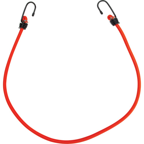 Sangles d'arrimage &eacute;lastiques, 30" Waymarc Industries Inc