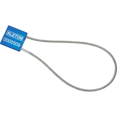 Scell&eacute;s de haute s&eacute;curit&eacute;, 12", M&eacute;tal, Scell&eacute; &agrave; c&acirc;ble Waymarc Industries Inc