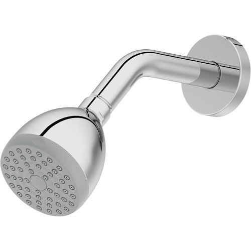 One-Function Showerhead Waymarc Industries Inc