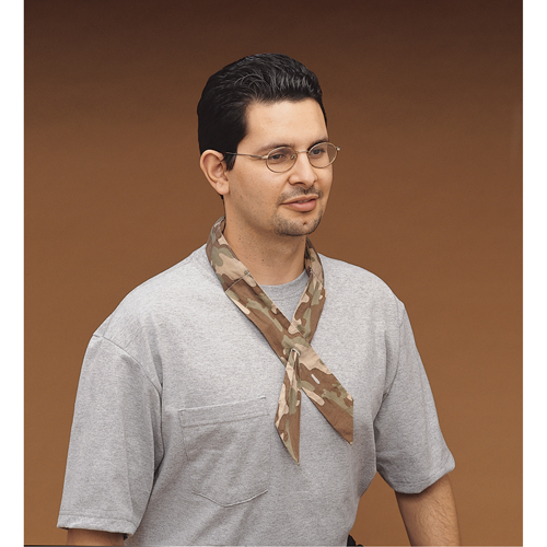 ALLEGRO INDUSTRIES Cool Offs Bandana, Multi-Colour Waymarc Industries Inc